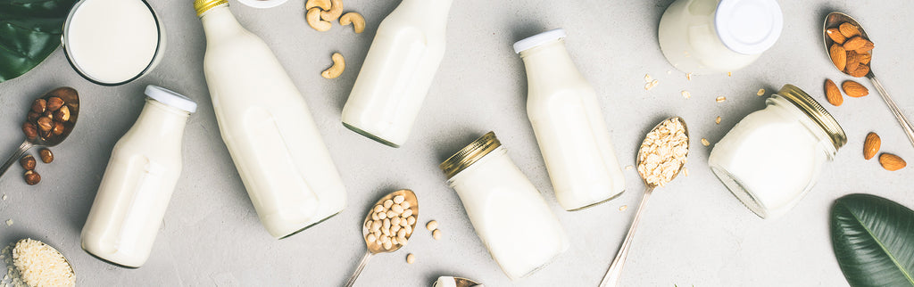 OUR COMPLETE GUIDE TO PLANT-BASED MILK